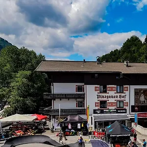 Отель Pinzgauerhof & Bike - Inclusive Evening Dinner, Зальбах-Хинтерглемм